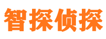 张家口外遇调查取证